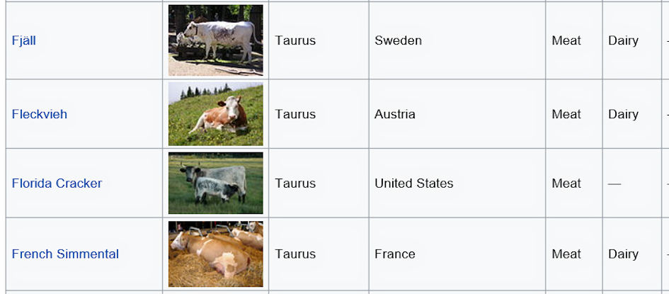 wikipedia cattle index - to identify cows and bulls