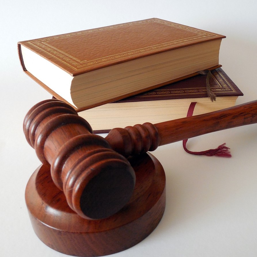 Should I sue after a cattle&nbsp;attack?