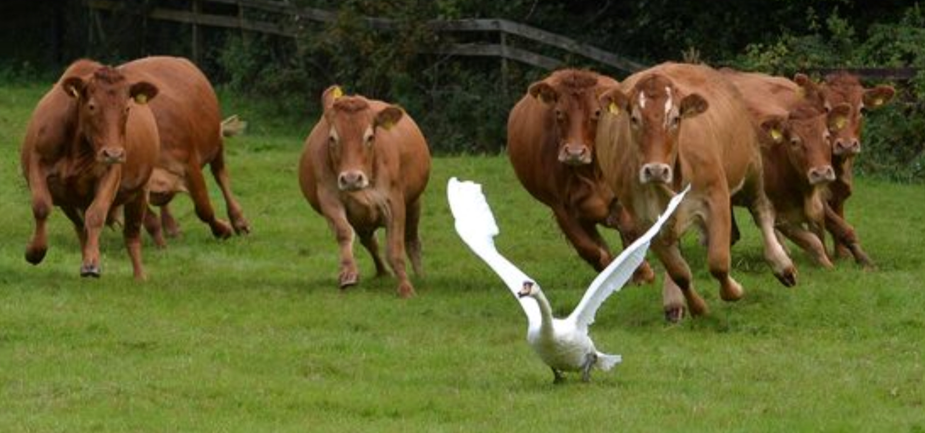 2619482D-1E1C-4E6B-A1C4-F1D7F58EBAA9