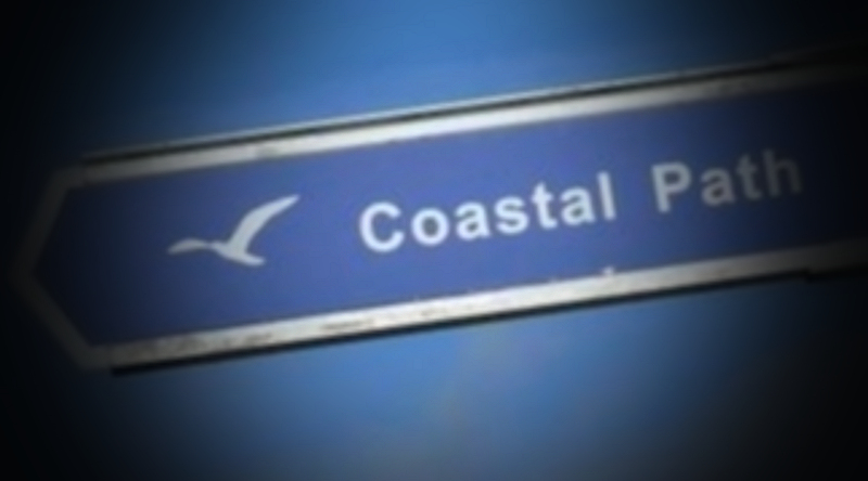 Chased by cattle on an exposed part of the Cornish Coastal&nbsp;Path