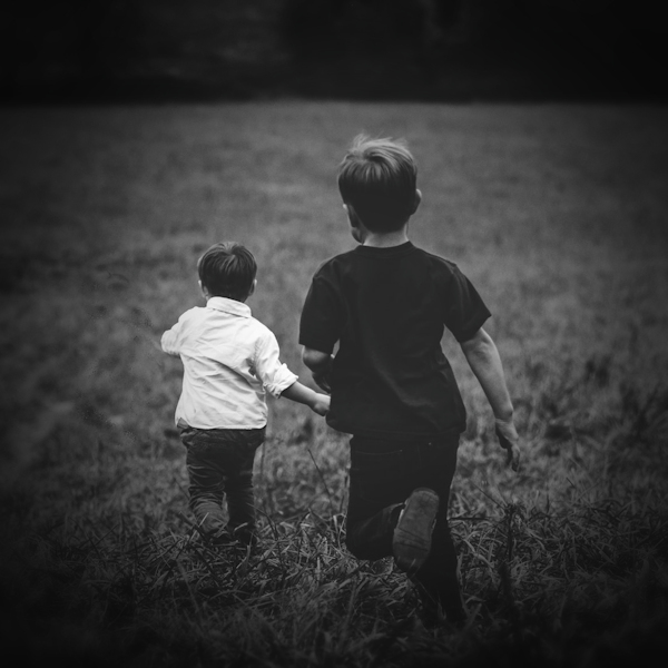 children running away from a herd of cows