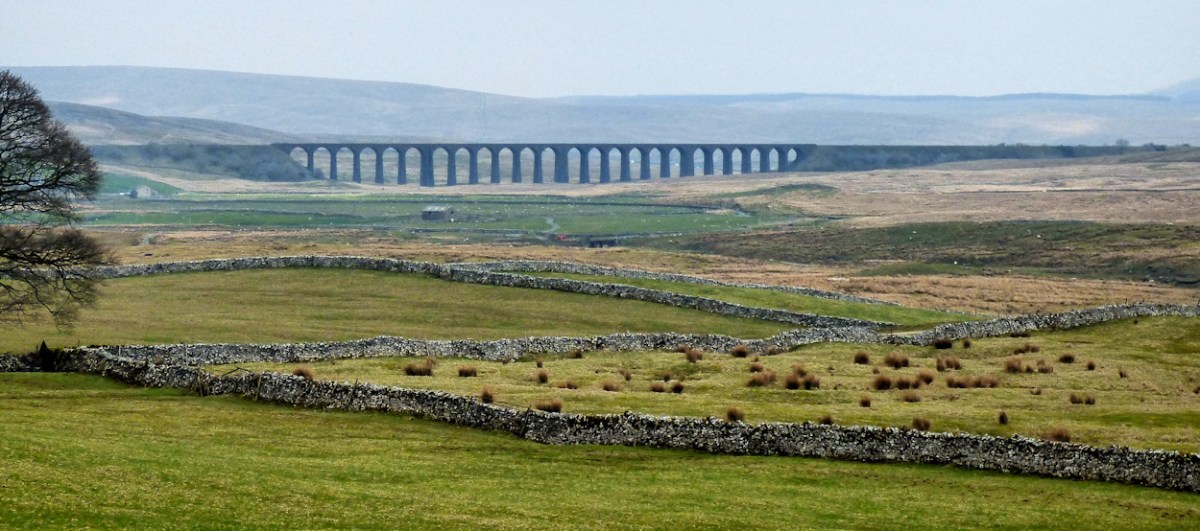 Walker killed by cattle in the&nbsp;Dales