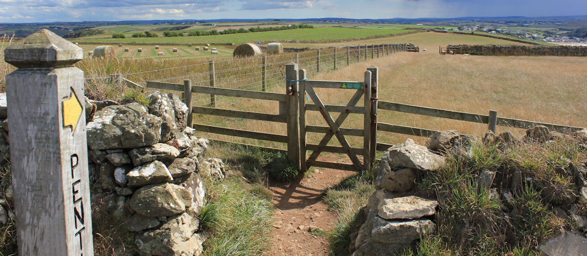 Sonja’s story: trampled by a rogue&nbsp;cow.