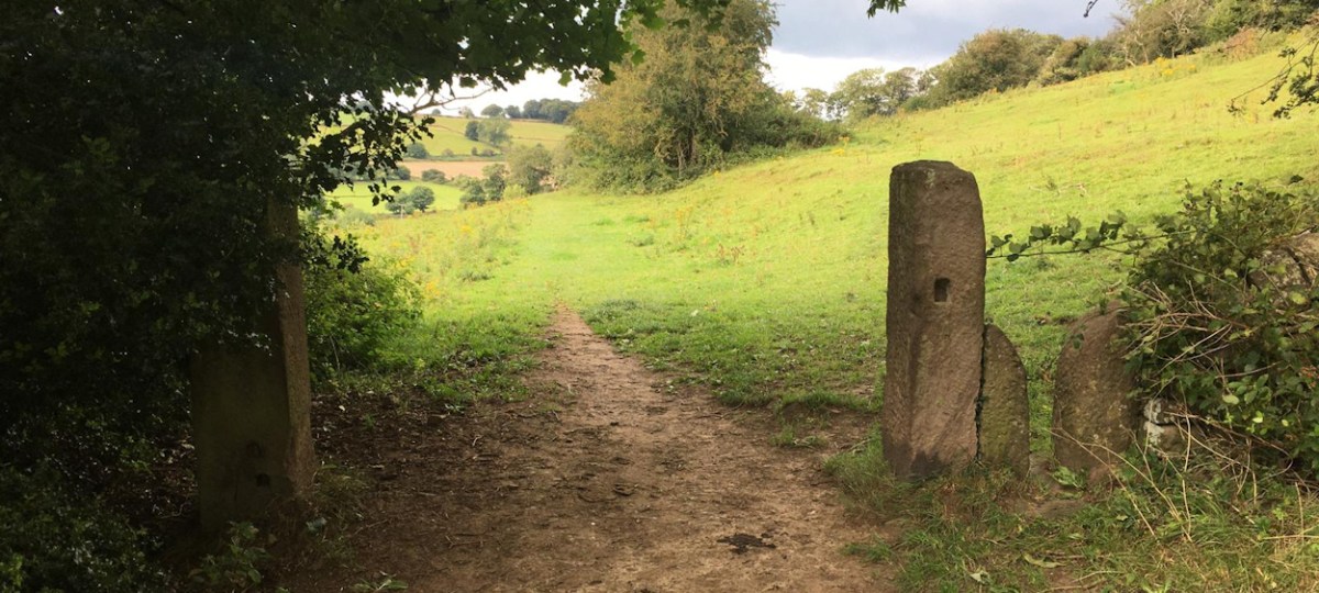 Cows aren’t always visible when you enter a&nbsp;field.