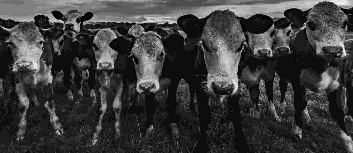 Lottie is shouted at for walking along a public&nbsp;footpath