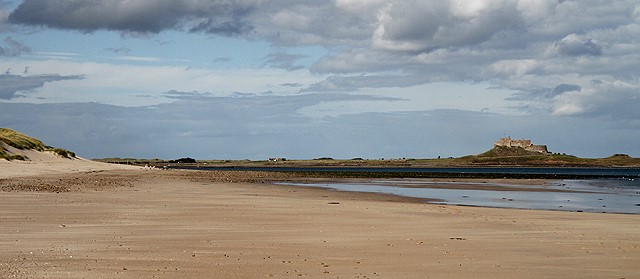 Theresa’s Story: stamped on by a&nbsp;cow.