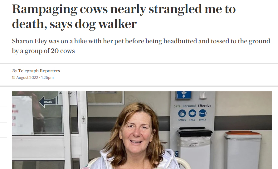 Sharon Eley: attack and horrific&nbsp;injuries