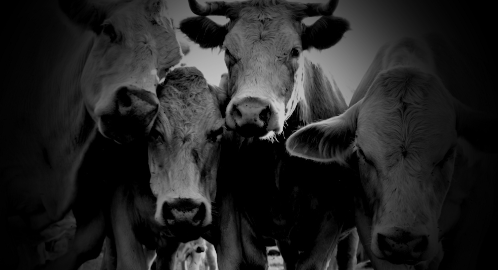 Jill’s Story: multiple&nbsp;injuries