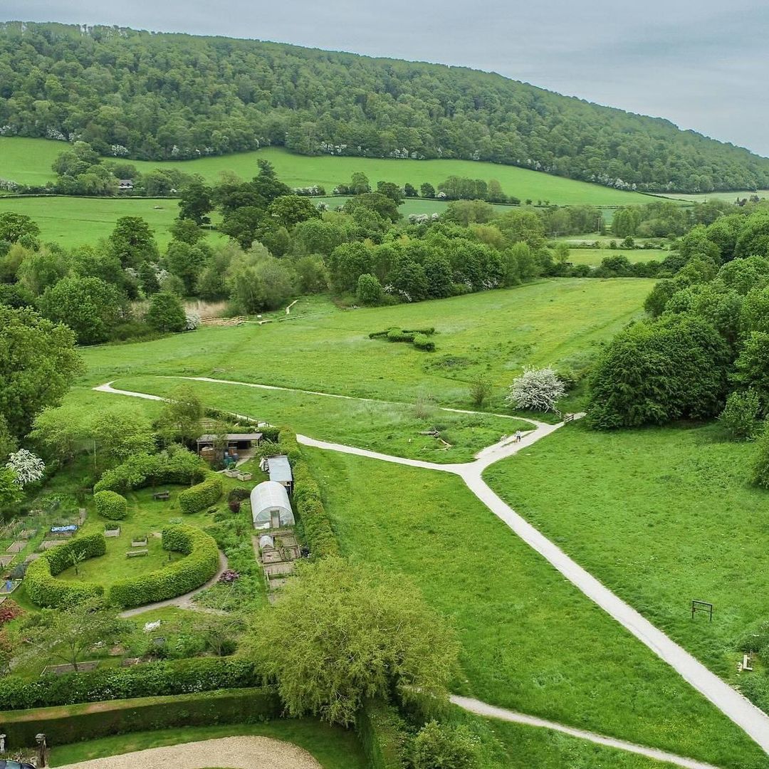 Judy was badly hurt and ended up in&nbsp;hospital.