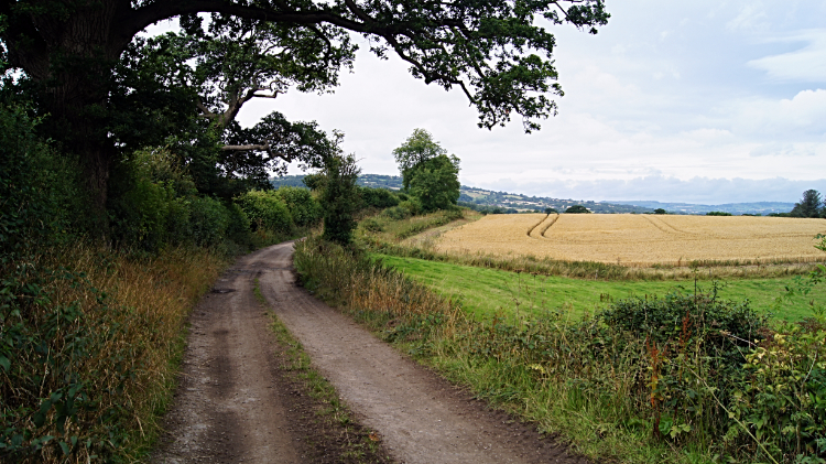 Badly frightened on Shropshire way&nbsp;footpath