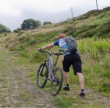 We shouted and threw things and the bullocks thankfully backed&nbsp;off