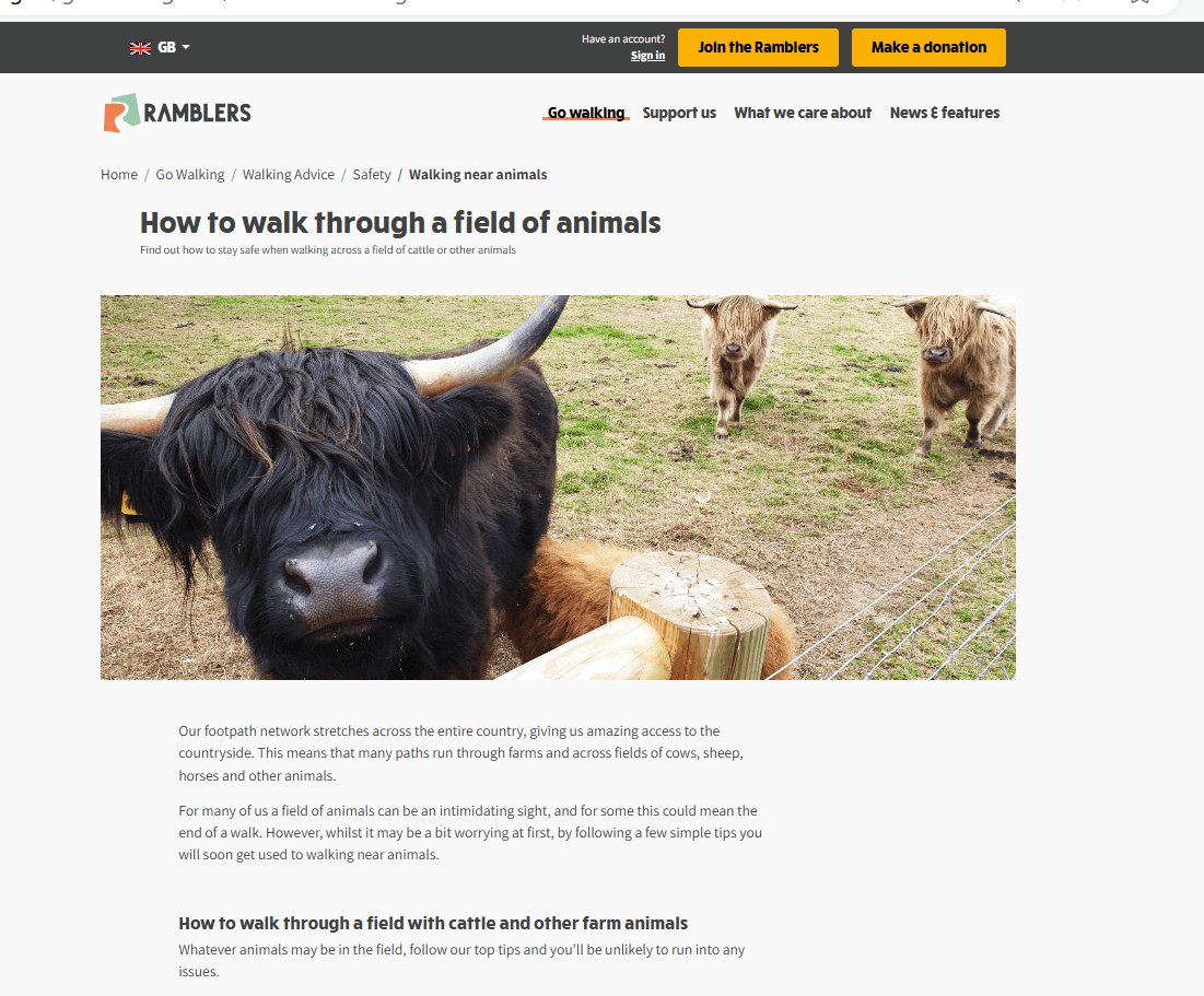 Advice can help but it doesn’t remove the&nbsp;risks