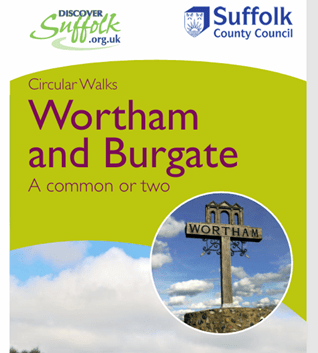 An excessive amount of cows on Angles way path&nbsp;Suffolk