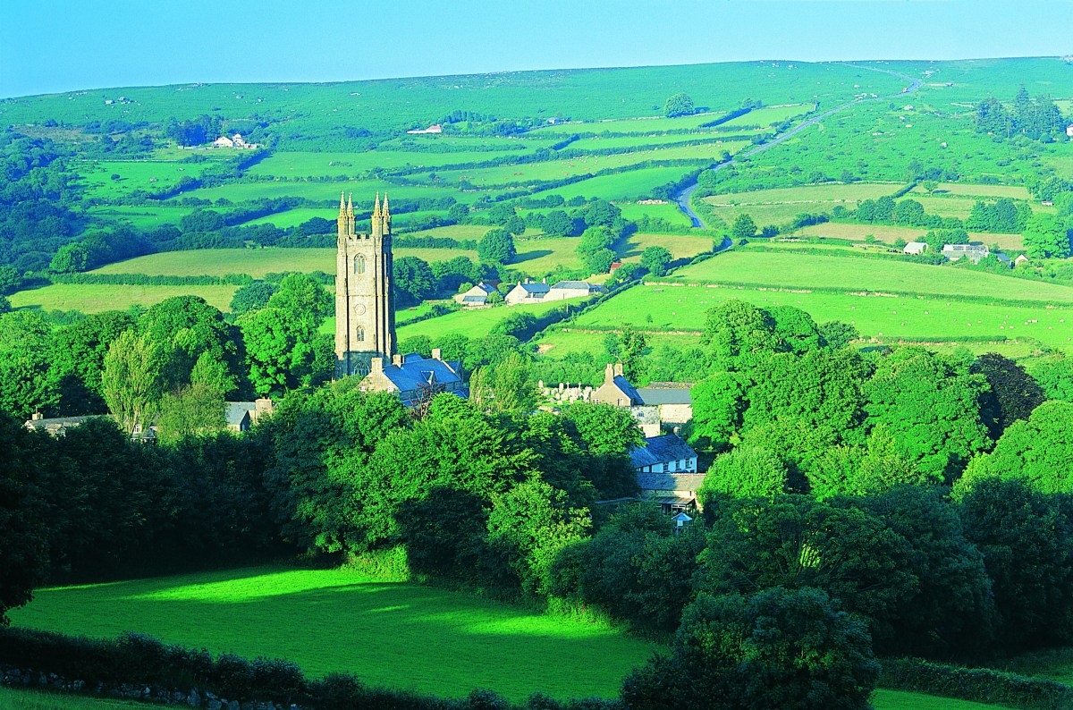 Trapped against a tree in&nbsp;Devon